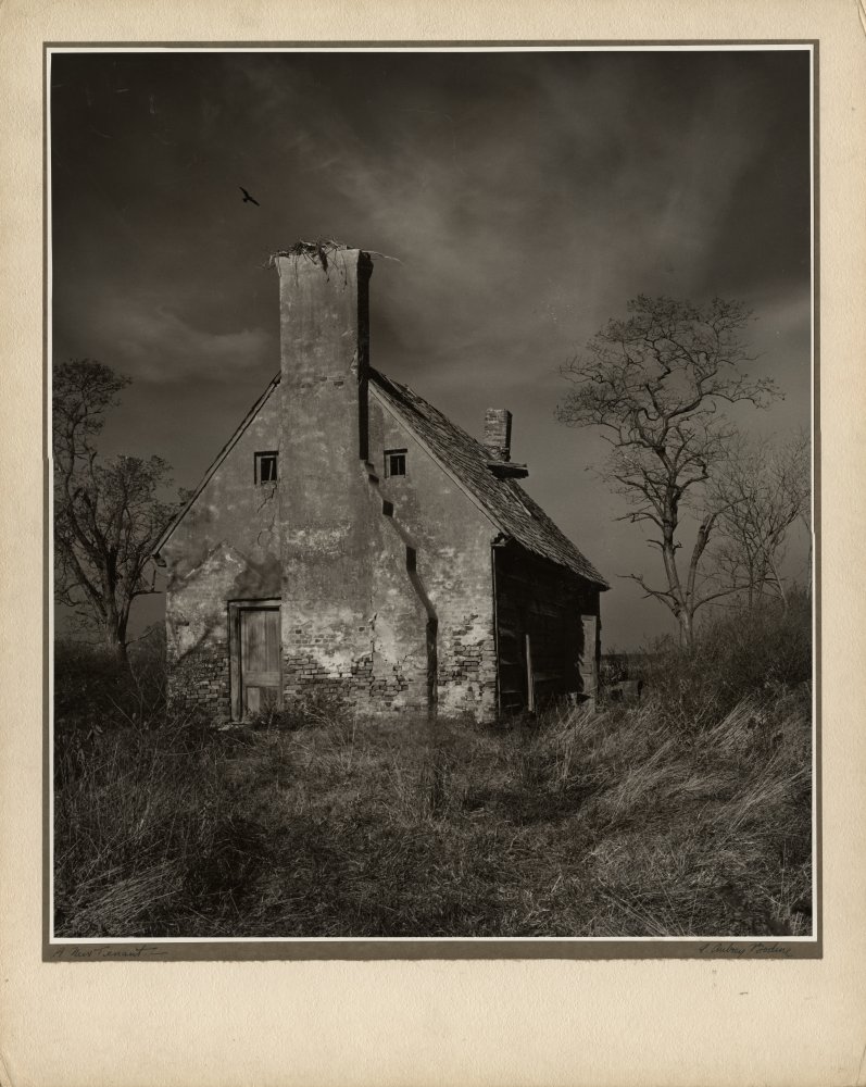 Click for larger image